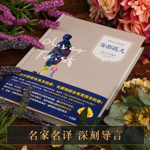 汉译经典文库-雾都孤儿 儿童文学 11-18岁 HL 商品图2