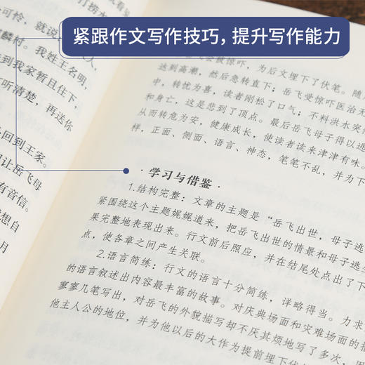 奇遇经典文库-岳飞传 中小学生课外阅读书 10-18岁儿童文学 商品图3