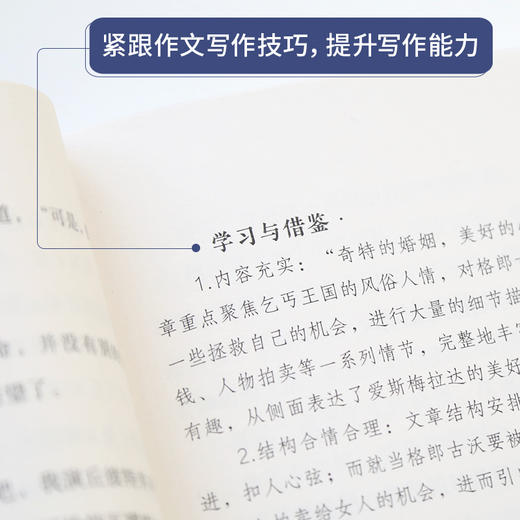 奇遇经典文库-巴黎圣母院 中小学生课外阅读书 10-18岁儿童文学 商品图3