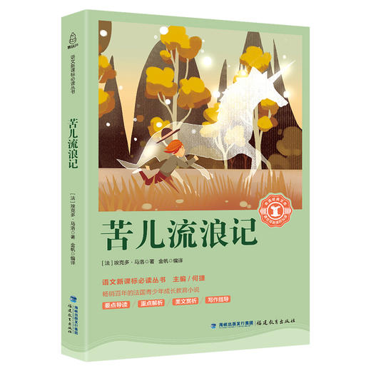 奇遇经典文库-苦儿流浪记 中小学生课外阅读书 10-18岁儿童文学 商品图0