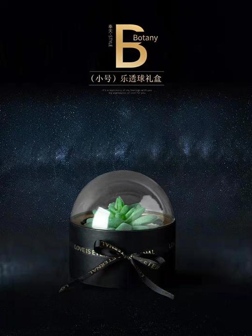 乐透球礼盒（小号） 商品图4