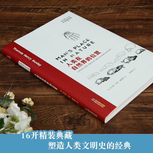 科普百科经典-人类在自然界的位置 科普百科 18岁以上 商品图2