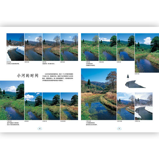 时间的珍藏 自然科普摄影艺术儿童认知书7-10岁 商品图2