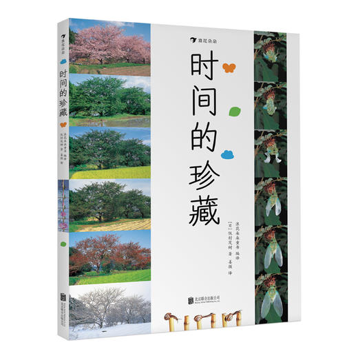 时间的珍藏 自然科普摄影艺术儿童认知书7-10岁 商品图3