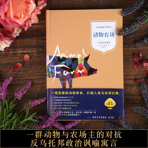 汉译经典文库-动物农场 儿童文学 11-18岁 HL 商品图1