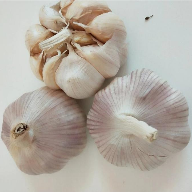 精品大蒜(约220克)