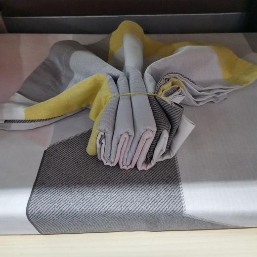 特价.水星抗菌四件套（DH槟彩AY19CT-S04/DH山居AY9D2-S04）（每批花色样式不同 随机发）  商品图0