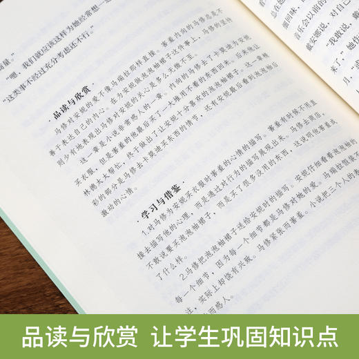 奇遇经典文库-绿山墙的安妮 中小学生课外阅读书 10-18岁儿童文学 商品图2