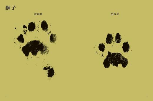 动物的身体系列之动 物的脚印精装本  儿童自然生命启蒙科普知识趣味百科全书  珍藏图鉴摄影图片集 浪花朵朵 后浪出版 商品图4