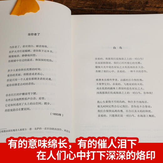 诺贝尔文学奖大系-当你老了 儿童文学 11-18岁 HL外国文学现当代文学小说 文学经典 诺贝尔文学奖作品名著读物 商品图3