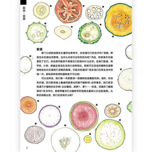 蔬菜的植物学 盛口满的手绘自然图鉴 日本童书研究会推荐儿童插图科普百科绘本书籍，浪花朵朵 后浪出版 商品图1