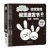 《给宝宝的视觉激发书》 商品缩略图2