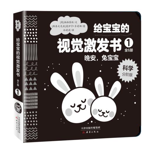 《给宝宝的视觉激发书》 商品图2