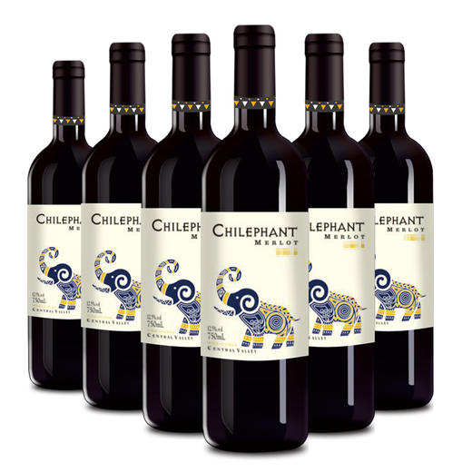 【整箱6瓶】智利进口 智象美露 干红葡萄酒1箱(750ml*6瓶)【2日内提货】 商品图1