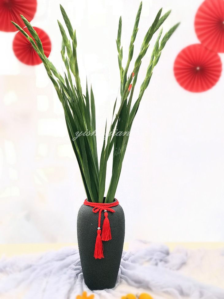 瓶插花||唐菖蒲(剑兰)