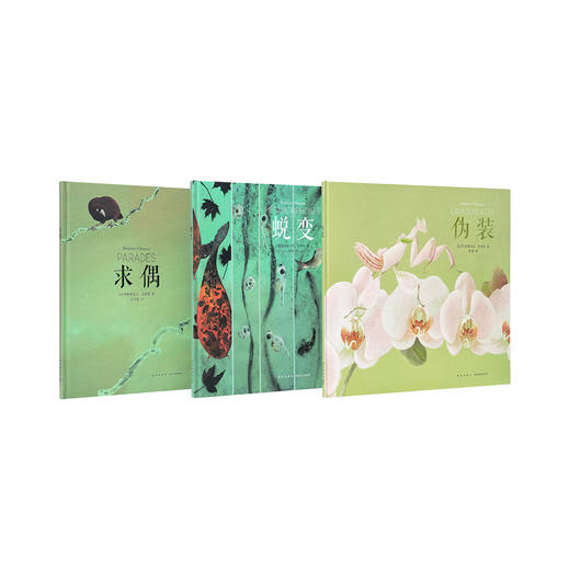 《伪装》诗意纪录三部曲 化身花朵、树叶和石头的动物魔法 读小库 7-9岁 商品图4