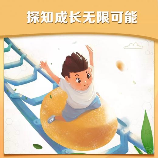 纽崔莱儿童DHA藻油软糖/每粒富含50mgDHA小软糖大营养 商品图12