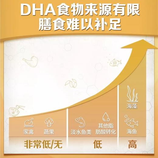 纽崔莱儿童DHA藻油软糖/每粒富含50mgDHA小软糖大营养 商品图6