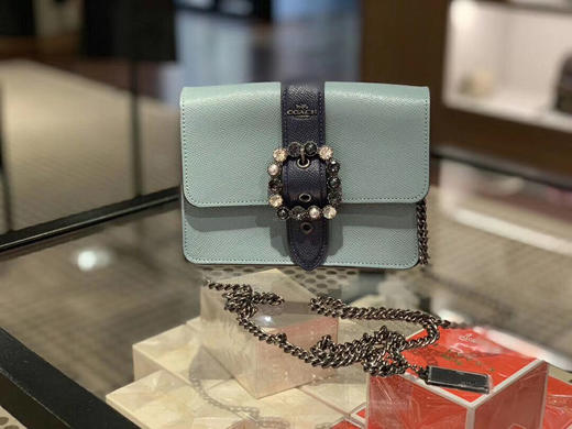 MiuMiu风！Coach 宝石扣小方包 链条可调3种长度 商品图0