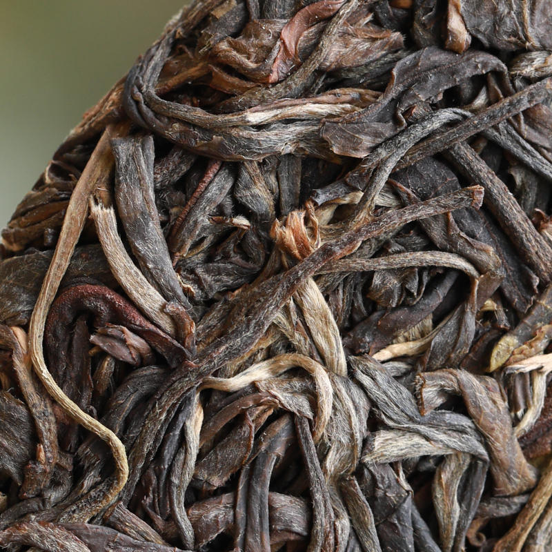 高黎贡山古树茶 贡山情整提 普洱茶生茶2499g