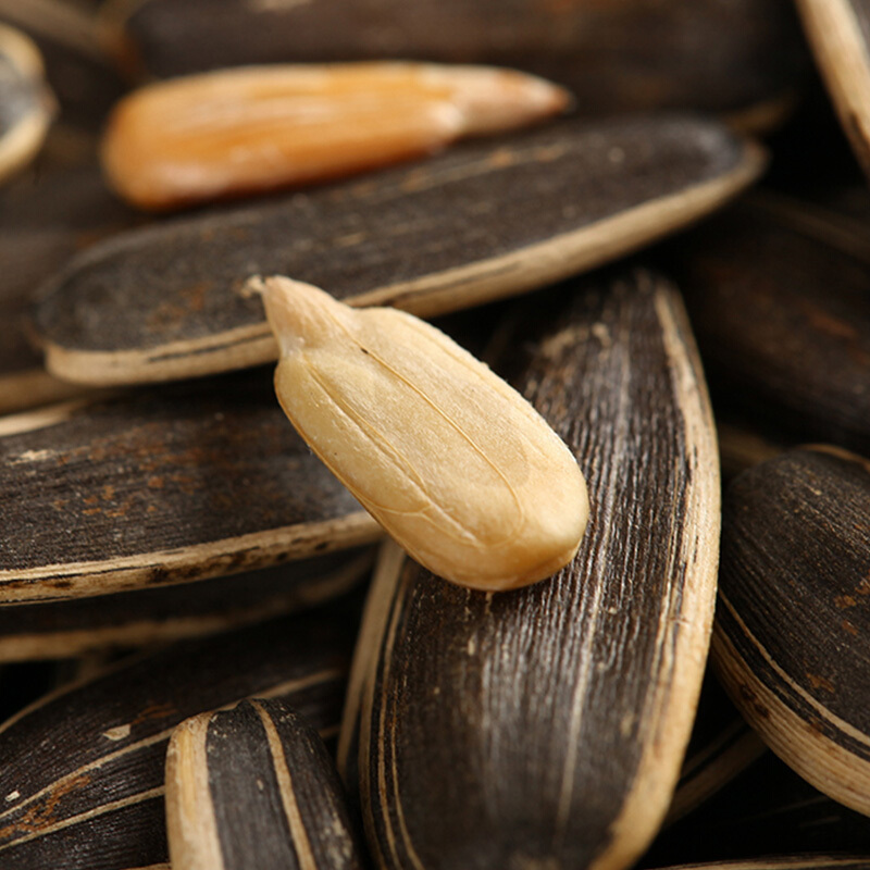 内蒙古363原味大瓜子