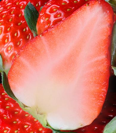 丹东东港玖玖草莓（产地直发） 商品图9