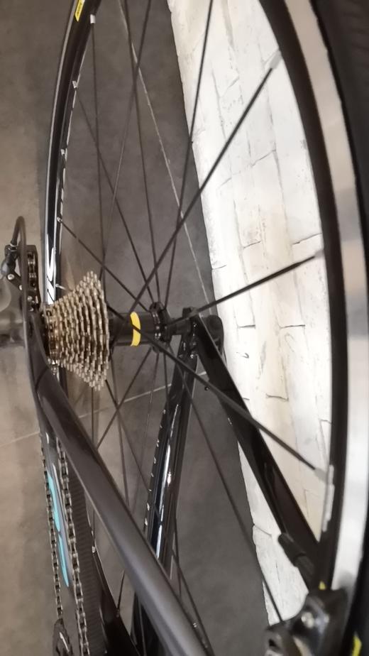 经典款cervelop3特价清库51码一台