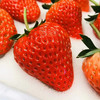 丹东东港玖玖草莓（产地直发） 商品缩略图7