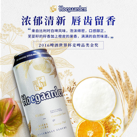 福佳精酿白啤酒国产 500ml(罐)（8A) 商品图2