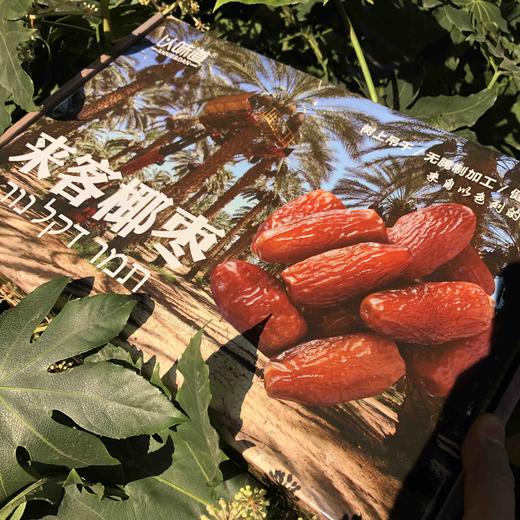 以色列的椰枣，波斯枣，纯天然无添加。在以色列被称为“阳光之树沙漠面包””，椰枣作为阿拉伯贵妇的下午茶必备。甜而不腻，营养价值丰富！具有益气，止咳润肺，化痰平喘，滋阴壮阳！ 商品图5