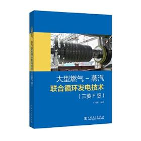 大型燃气-蒸汽联合循环发电技术（三菱F级）