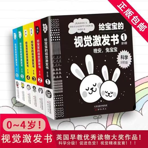 《给宝宝的视觉激发书》 商品图0