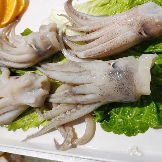 冰鲜鱿鱼头 /斤 商品图1