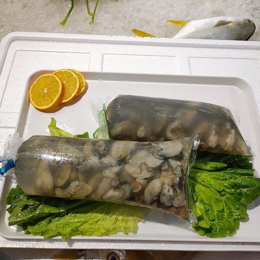 冰鲜海蛎 /包 商品图1