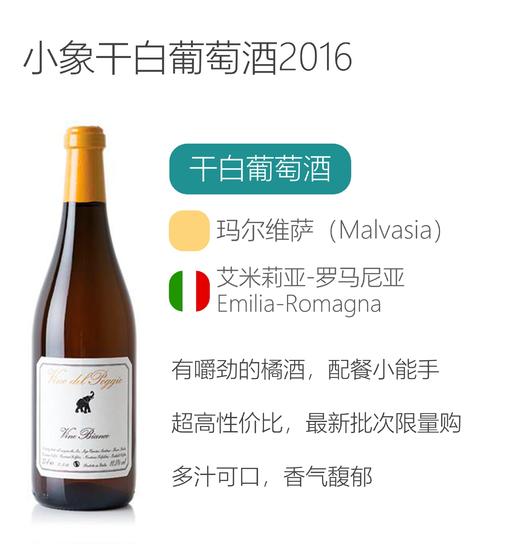 小象干白葡萄酒2016 Vino Del Poggio Bianco Cervini Andrea 2016 商品图1