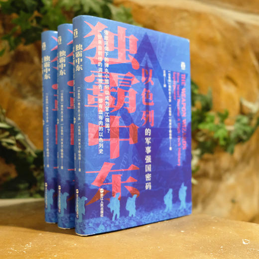 独霸中东 以色列的军事强国密码 商品图1