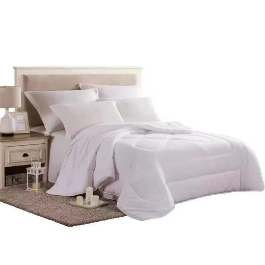 【恐龙厅】B7F 丨  S161雅致全棉暖芯被厚 商品图0