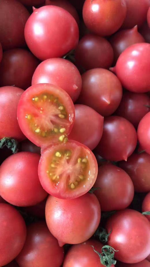 【市内同城】70元购一箱 【春桃柿子】11.5-12斤左右