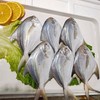 冰鲜大白鲳 /条 商品缩略图4