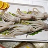 冰鲜鱿鱼头 /斤 商品缩略图2