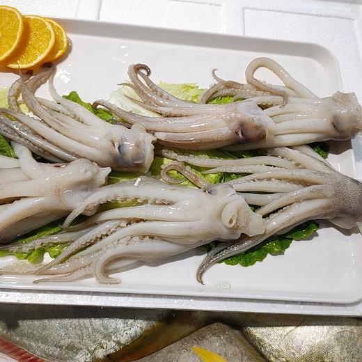 冰鲜鱿鱼头 /斤 商品图2