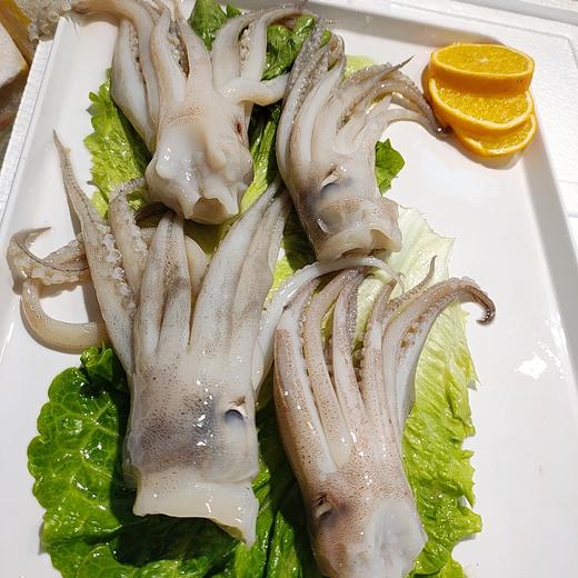 冰鲜鱿鱼头 /斤 商品图3