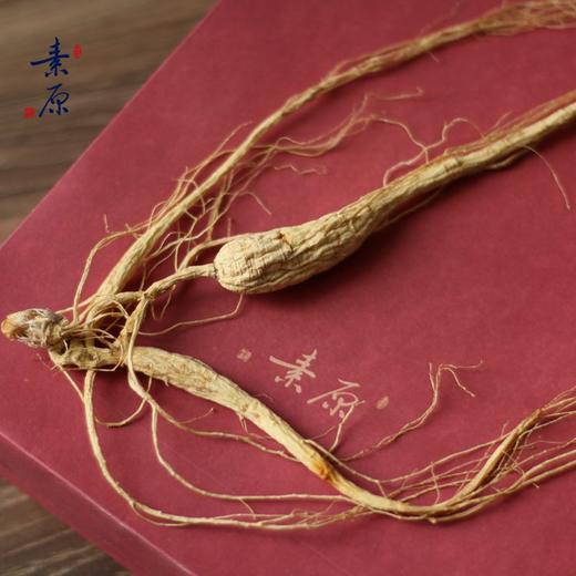 「参龄19年」林下参 礼盒装 牛皮纸盒 1支装10克+ 商品图1