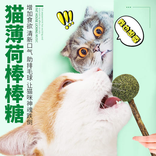 猫咪薄荷棒棒糖 单支装木天蓼去毛球助消化洁齿猫咪玩具猫零食 商品图5