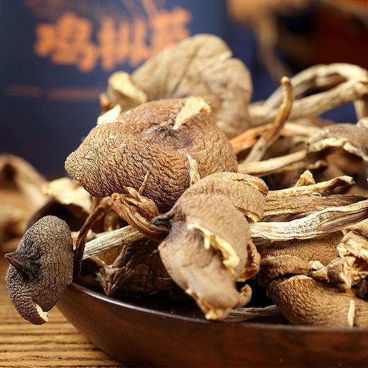 鸡枞菌 云南食用菌干货 特色山珍 食用菌 煲汤火锅食材60g/罐