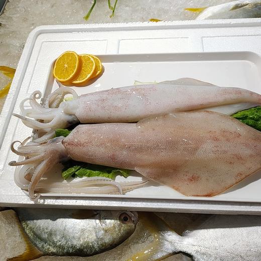 鱿鱼 /斤 商品图1