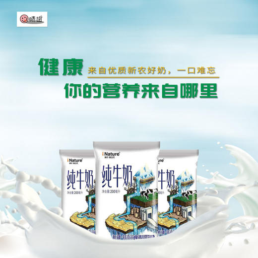 【新农纯牛奶】200ml*16袋/箱利乐枕 新疆好奶 一口难忘 商品图1