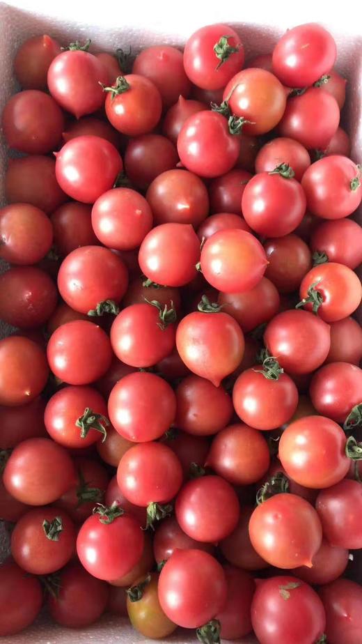 【市内同城】70元购一箱 【春桃柿子】11.5-12斤左右