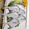 冰鲜大白鲳 /条 商品缩略图3