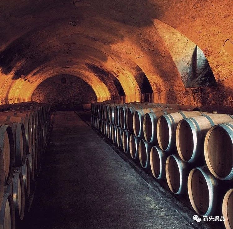 robertocavalli全球超限量红酒套装